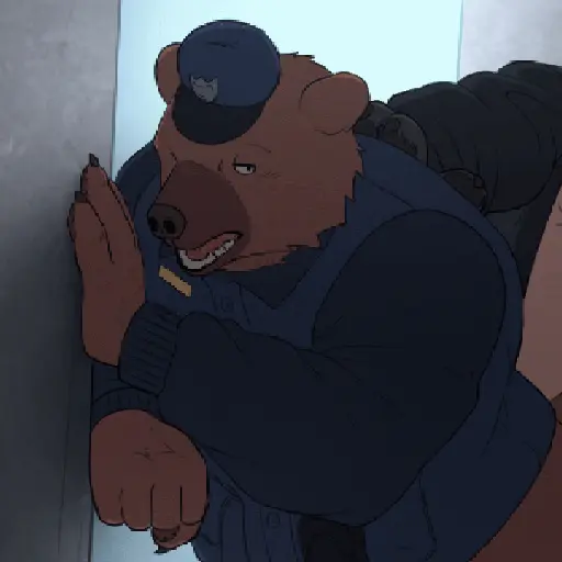 🐻x🐻 11