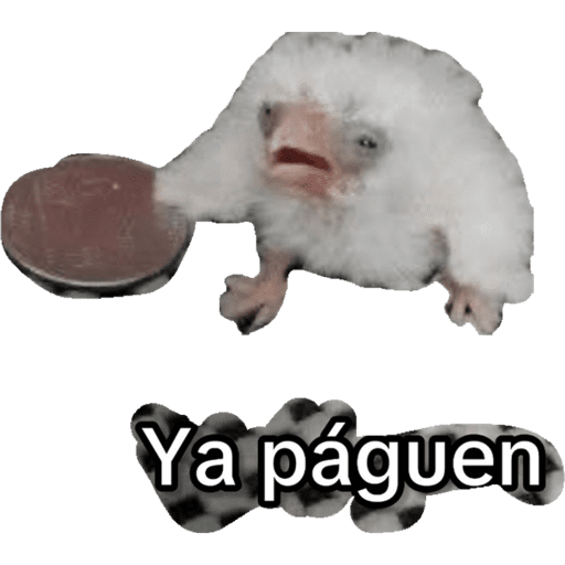 Chimpistickers 2