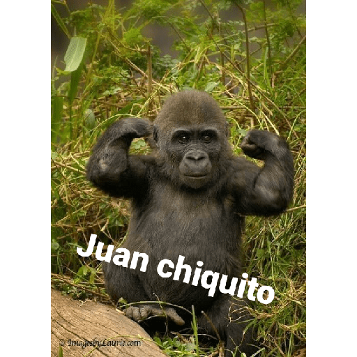El Juan 4