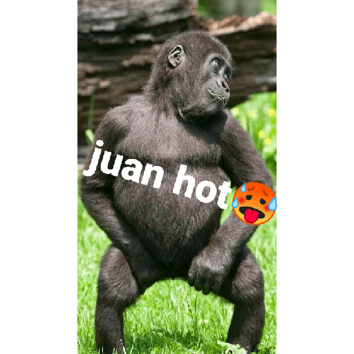El Juan 6