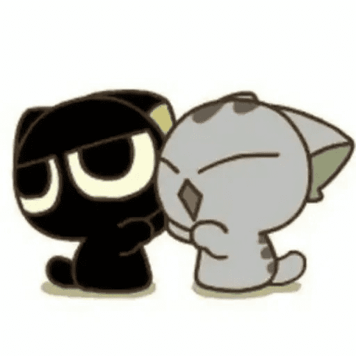 😺 Gato Negro Ojón 2👀 12