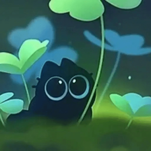 😺 Gato Negro Ojón 2👀 6
