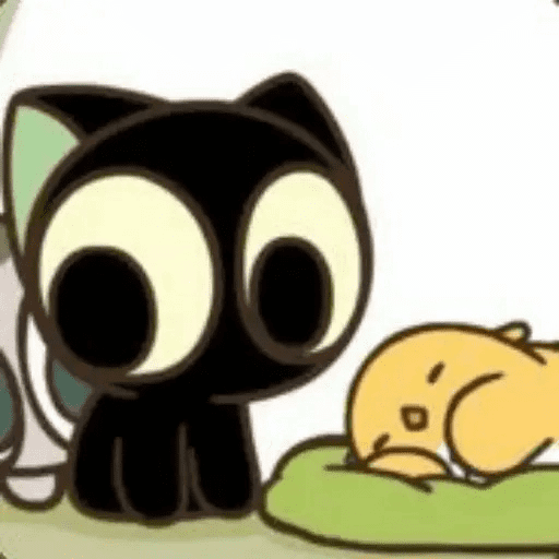 😺 Gato Negro Ojón 2👀 24
