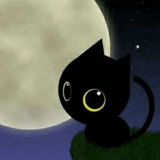😺 Gato Negro Ojón 2👀 29