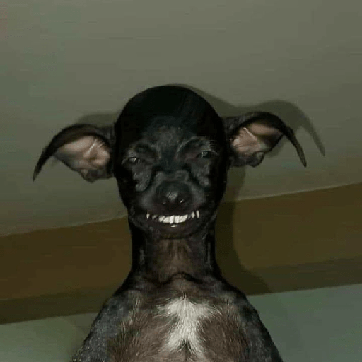 Random Clásico 4 4