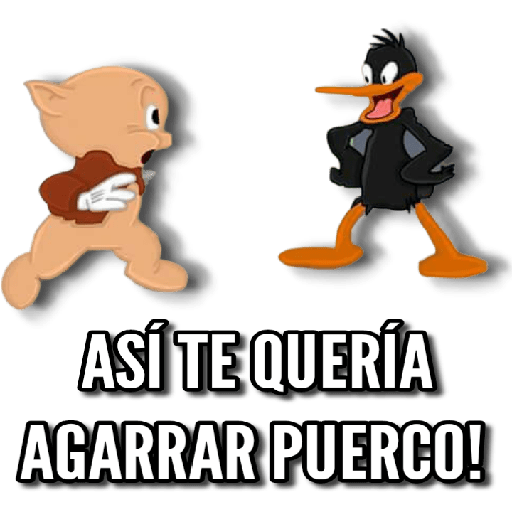 Random Clásico 4 23
