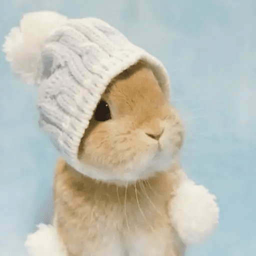 🐇 Conejos Cute 2 🐇🐰 17