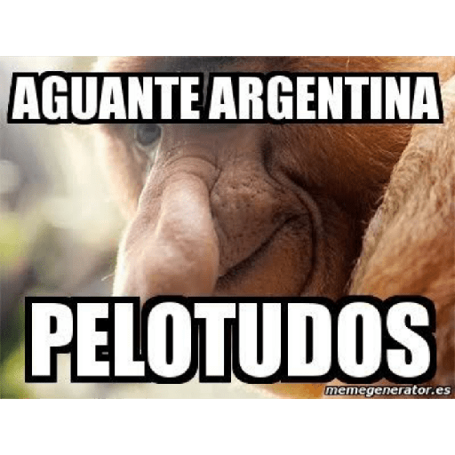 Mexichangos 24