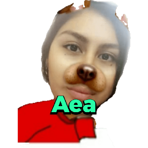 Mexichangos 30