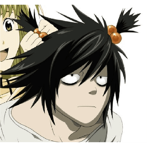 L Death Note 20