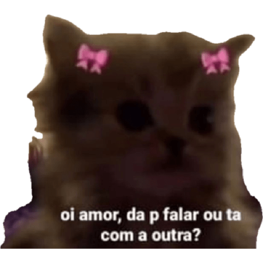 Minhas figurinhas 😺 11