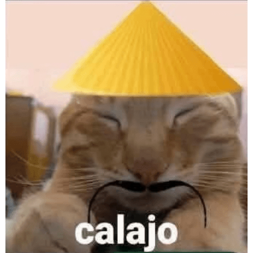 Holi