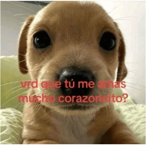 LOVE ME 2