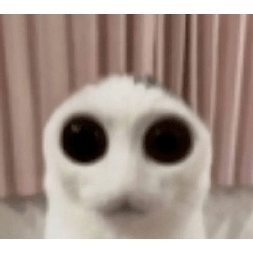 Yo esk d vdd amo a rei ns 9