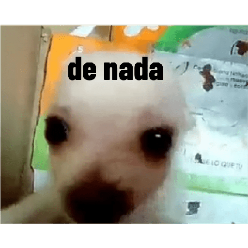 Perros graciosos 2