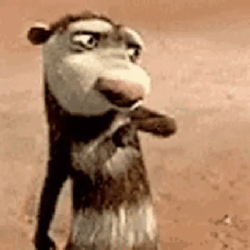Animadas 3