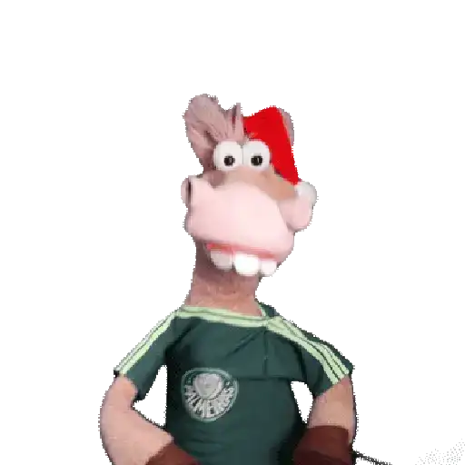 Animadas 6