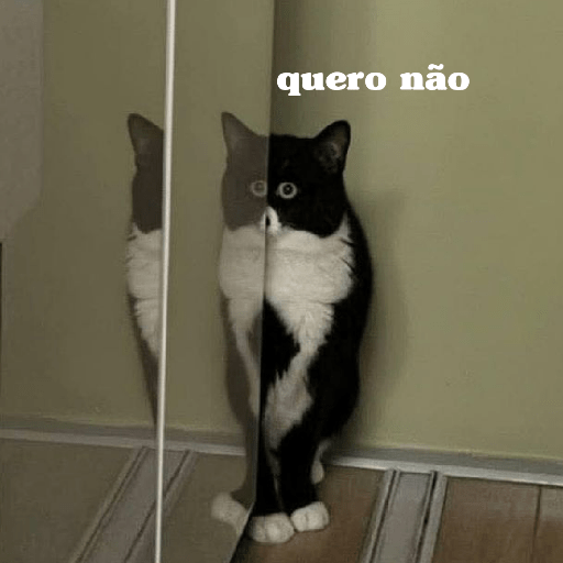 Gatinhos 17