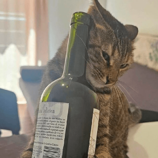 Gatinhos 3