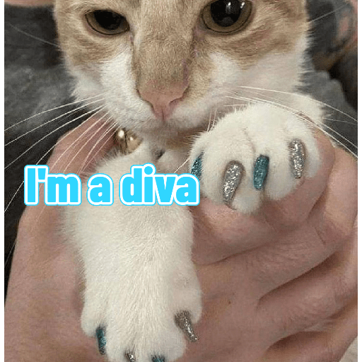 Gatinhos 9