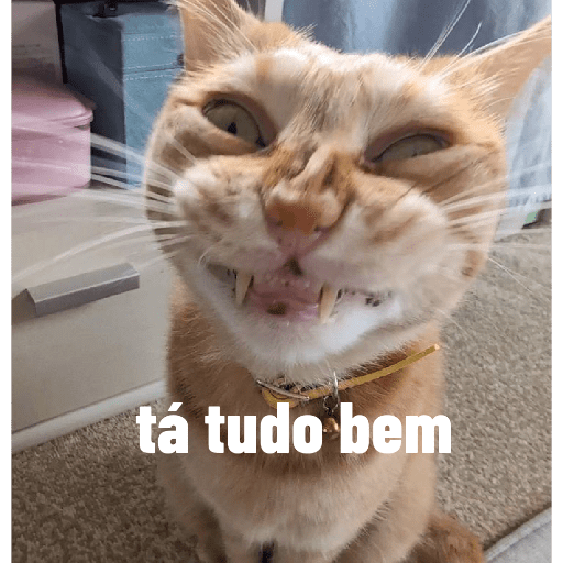 Gatinhos 11