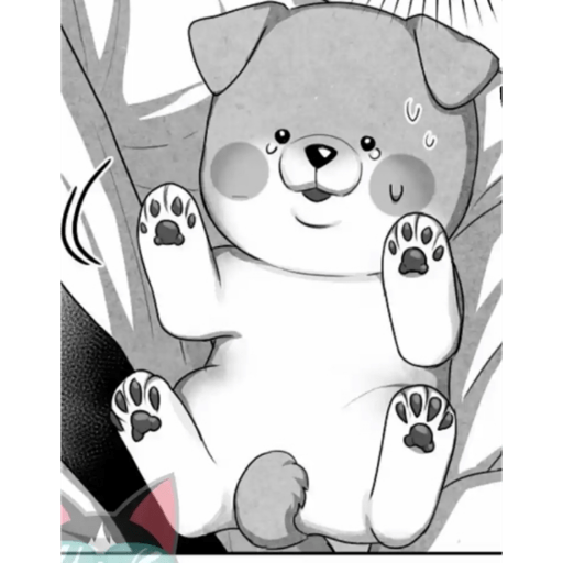 Perrito(2) 13