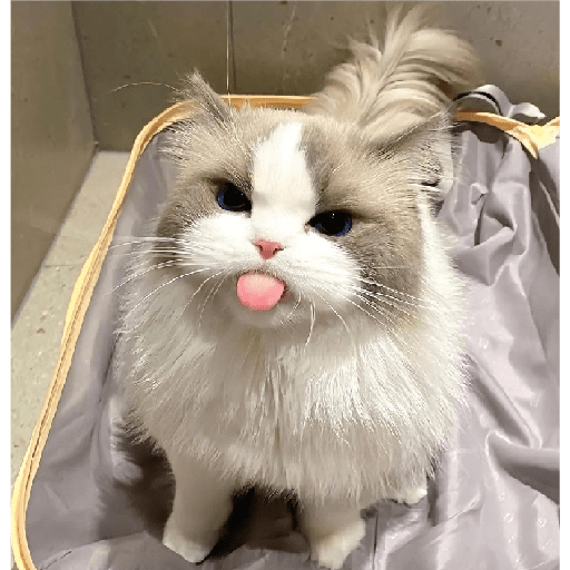 Gatitos  2