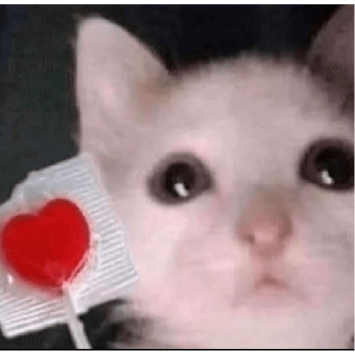 Gatitos  1