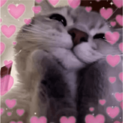 Leuchtende lächelnde Katze 💖