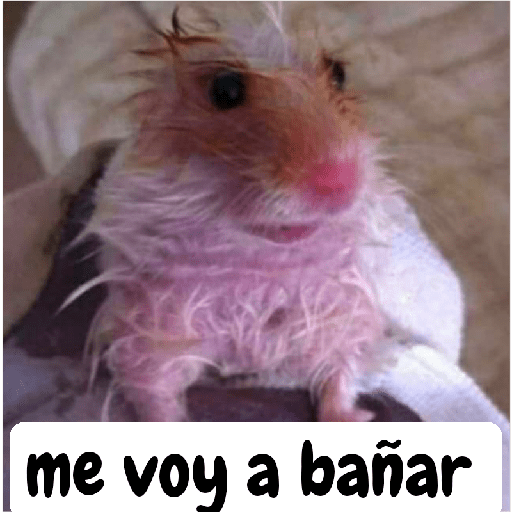 Jajaja 30
