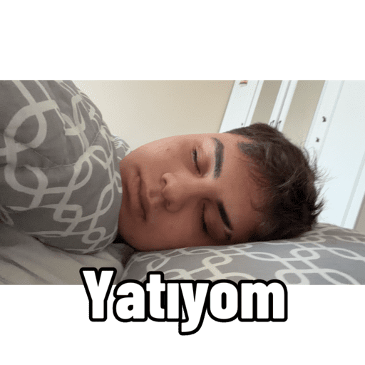Sticker Image