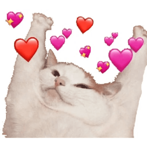 Amor gatuno random💕🐱
