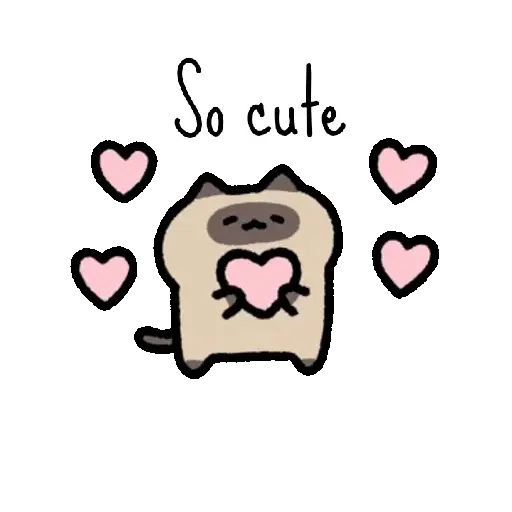 Siames wee cat adorable🐈‍⬛