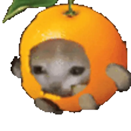 Cats Funny Food 🐱🍉🍎🍟🍕
