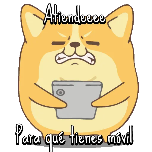 Corgi desbordado 🐶🐾