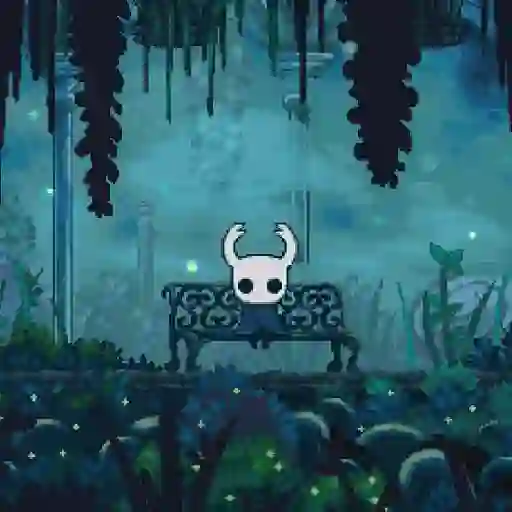 Hollow knight ⚫🎮