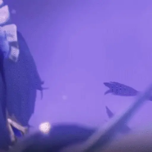 ᏟᎪᏁᏆᎪᏒᎬᏞᏞᎪ 🎮🟣 17