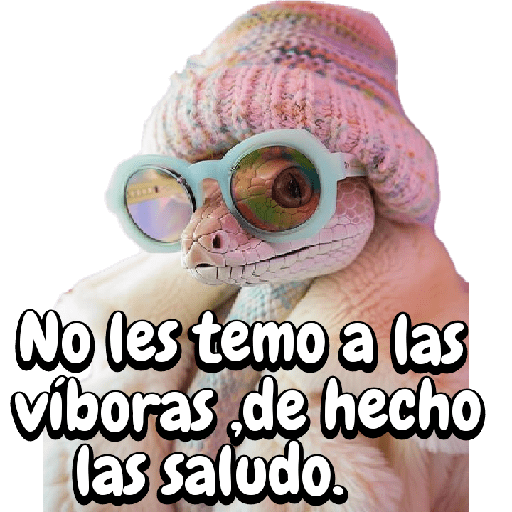 Memes de "Víboras"🐍