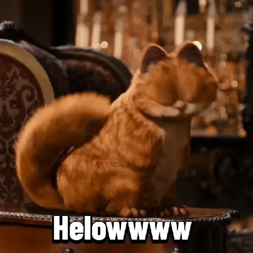 Garfield para el chat 😎🐱 20