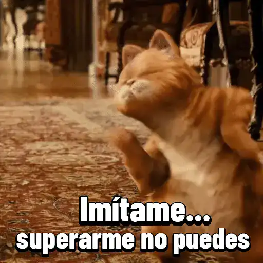 Garfield para el chat 😎🐱 18