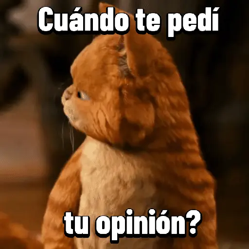 Garfield para el chat 😎🐱 17