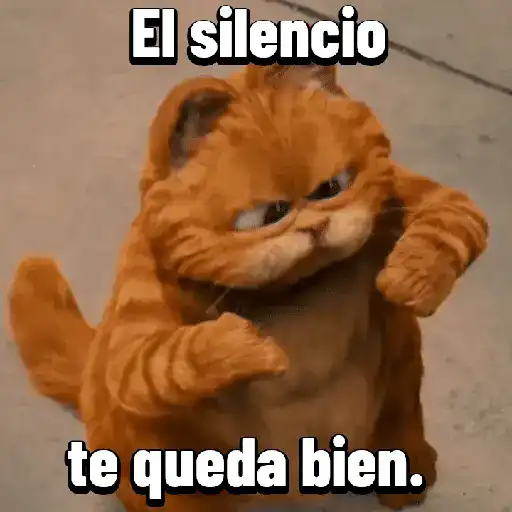 Garfield para el chat 😎🐱 14