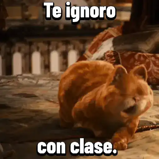 Garfield para el chat 😎🐱 4