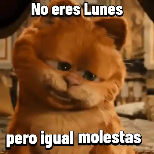 Garfield para el chat 😎🐱 2
