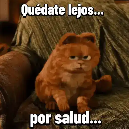 Garfield para el chat 😎🐱 5