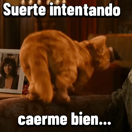 Garfield para el chat 😎🐱 6