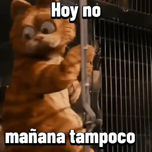 Garfield para el chat 😎🐱 7