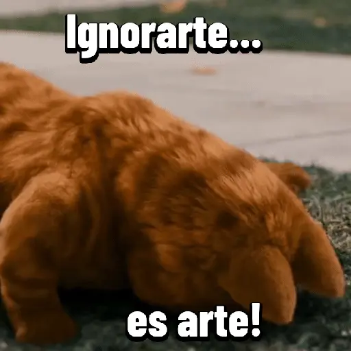 Garfield para el chat 😎🐱 10