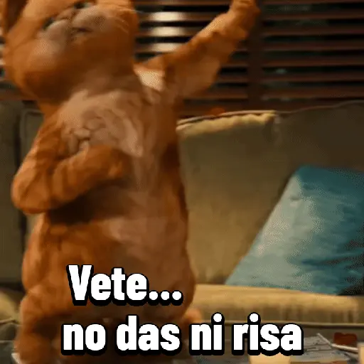 Garfield para el chat 😎🐱 11
