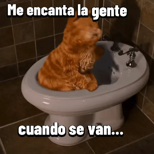Garfield para el chat 😎🐱 13